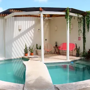 Pecari Frühstückspension Cancún